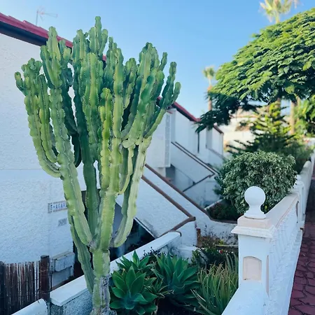 Miraverde Oasis - Heated Pool - Ac Appartement